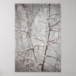 Tree in  a Snowstorm Poster posters