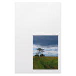 Tree in a Wheat Field Stationery Design