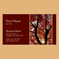 Tree in Autumn Business Card business cards