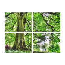 Tree in Greenwood Canvas Art Print Canvas Prints
