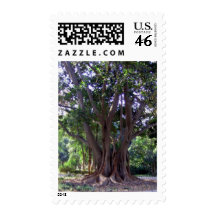 Tree In Park Stamps