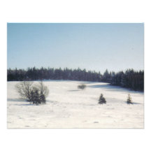 tree in snow1 announcements