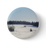 tree in snow1