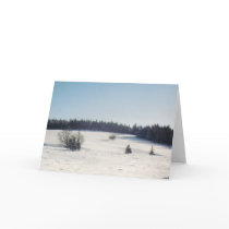 tree in snow1 cards