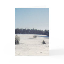 tree in snow1 cards