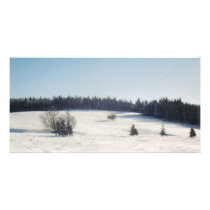 tree in snow1 photo cards
