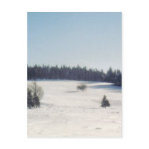 tree in snow1 postcards