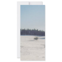 tree in snow1 rack cards