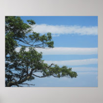 Tree in the Clouds posters