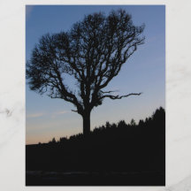 Tree in the morning flyers