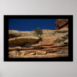 Tree in the wall posters