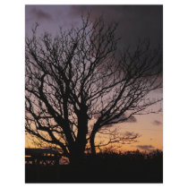 Tree in Winter Sunset letterhead by seascapeart Tree in Winter Sunset letterhead