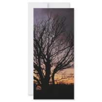 Tree in Winter Sunset rack cards by seascapeart Tree in Winter Sunset rack cards