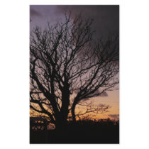Tree in Winter Sunset stationery by seascapeart Tree in Winter Sunset stationery