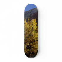 Tree In Zion Park skateboards