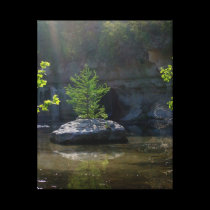 Tree Island canvas prints