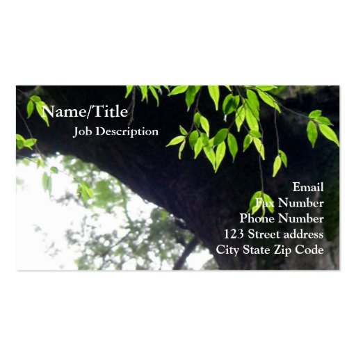 Tree l Still Nature l Photography Business Card Template (back side)