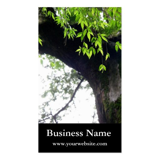Tree l Still Nature l Photography Business Card Template (front side)