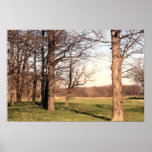 Tree Landscape Posters
