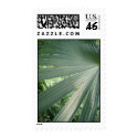 Tree Leaf postage