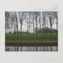 Tree Line Canal Postcard postcard