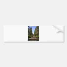 Tree lined dirt road bumper sticker