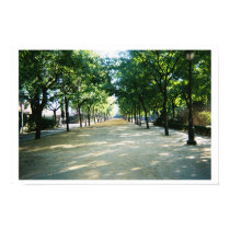 tree lined path posters by pyxie3 tree lined path posters