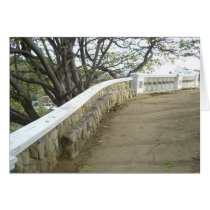 Tree Lined Stone Pathway cards