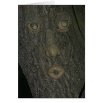 Tree Man cards