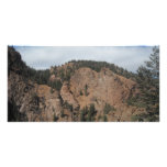 Tree mountan landscape photo cards