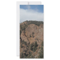 Tree mountan landscape rack cards