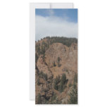 Tree mountan landscape customized rack card