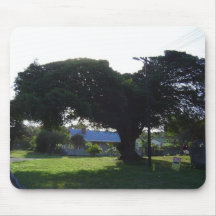 Tree Mouse Pads