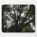 Tree mousepads