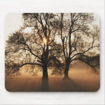 Tree mousepads