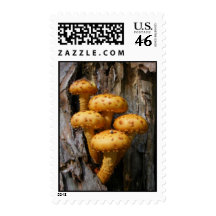 Tree Mushrooms ~ stamps