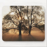 tree near Dorset, England. mousepads