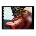 Tree Nymph on Hand cards by moonrisings Tree Nymph on Hand cards