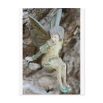 Tree Nymph Postcard