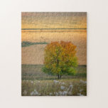 Tree of Fall Colors Jigsaw Puzzles