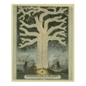 Tree of Irish History posters