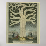 Tree of Irish History Print