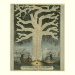 Tree of Irish History posters
