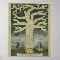 Tree of Irish History Print