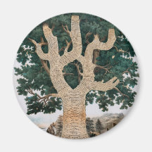 Tree Of Knowledge Fridge Magnets