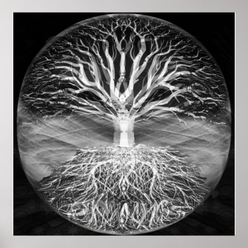 Tree of life black and white serenity poster Zazzle