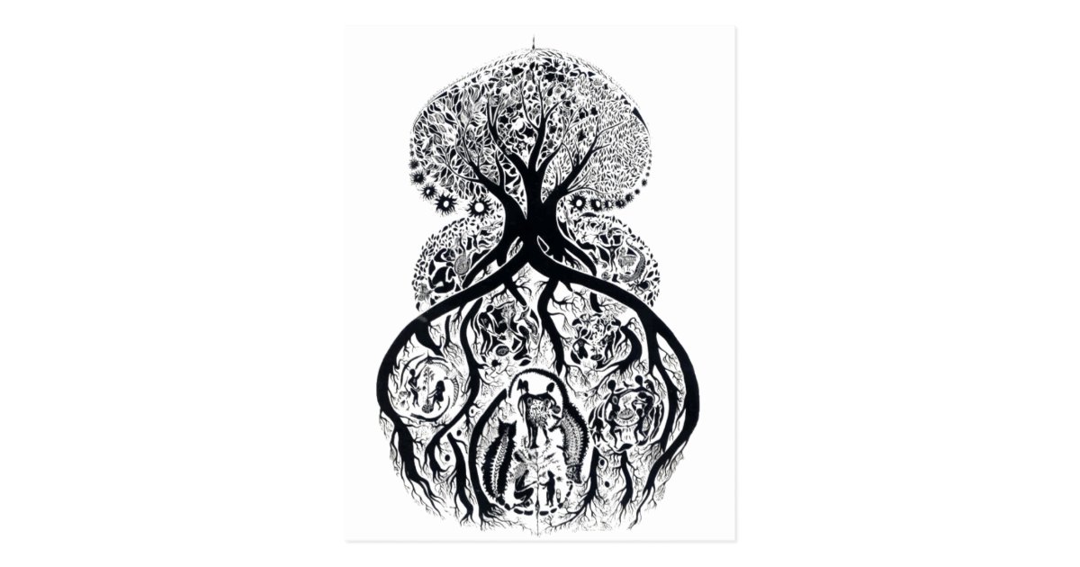 TREE of LIFE black & white Postcard Zazzle