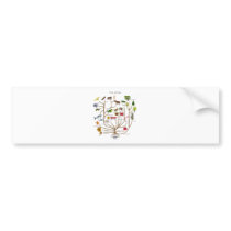 Tree Of Life Bumper Sticker