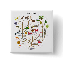 Tree Of Life buttons