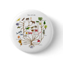 Tree Of Life buttons by atheist_store Tree Of Life buttons